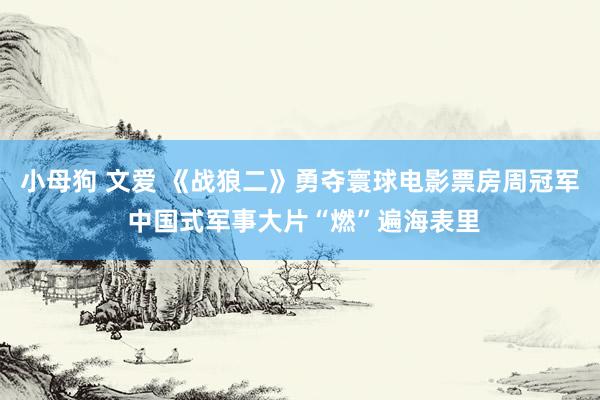 小母狗 文爱 《战狼二》勇夺寰球电影票房周冠军 中国式军事大片“燃”遍海表里