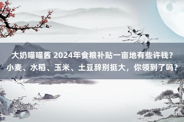 大奶喵喵酱 2024年食粮补贴一亩地有些许钱？小麦、水稻、玉米、土豆辞别挺大，你领到了吗？